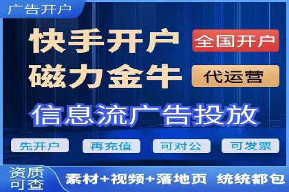 SEM精准广告投放的五大成功案例